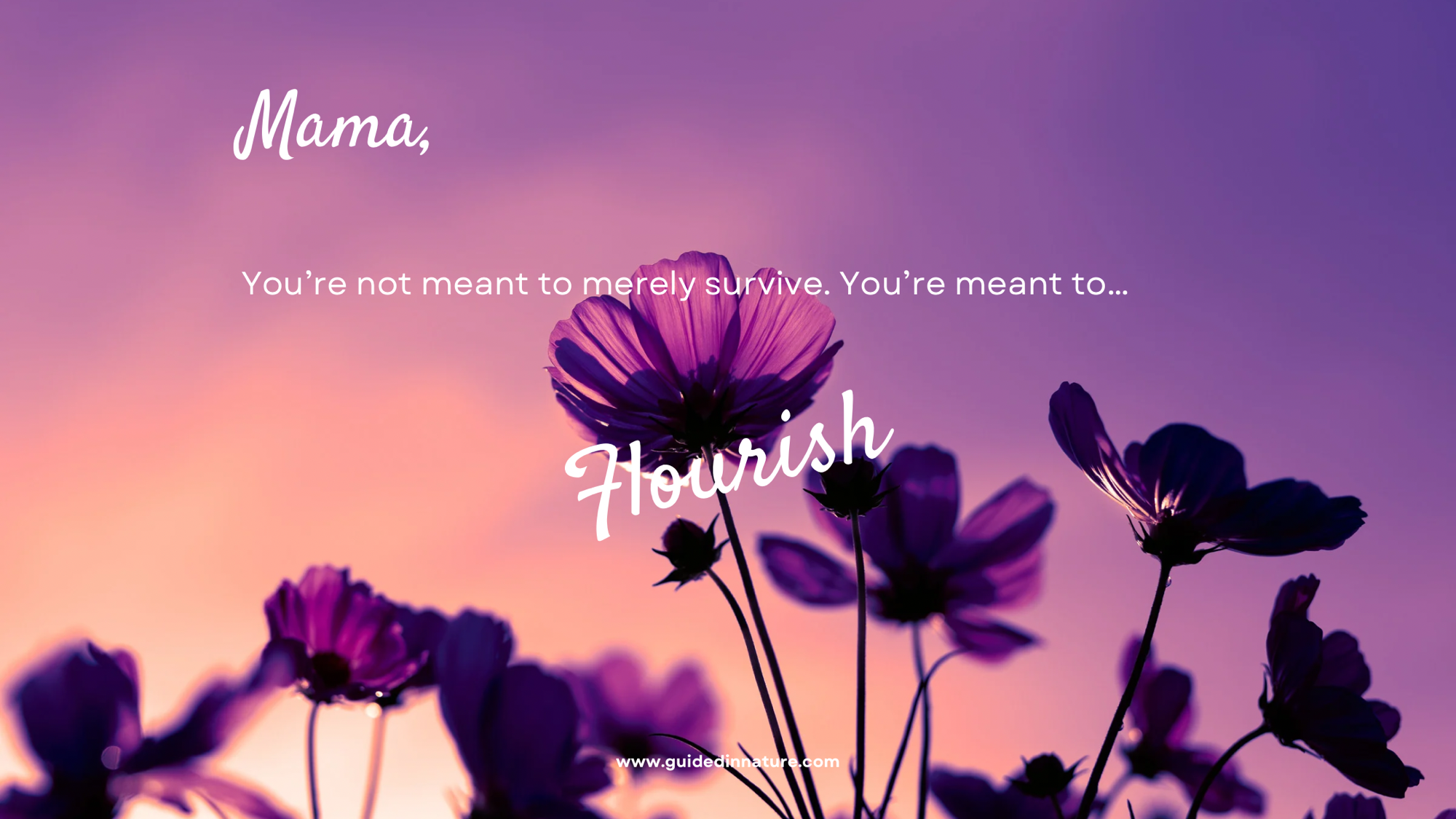 Finding Peace in Pregnancy and Motherhood: Therapy for Anxiety, Burnout, and Overwhelm